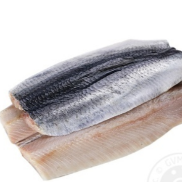 Herring Fillet Frozen 500gr
